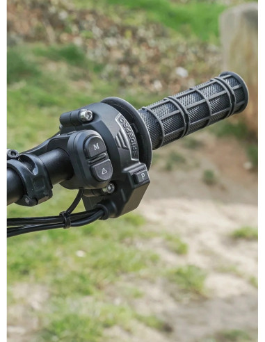 E Ride Pro SS 3.0 - L1e o L3e