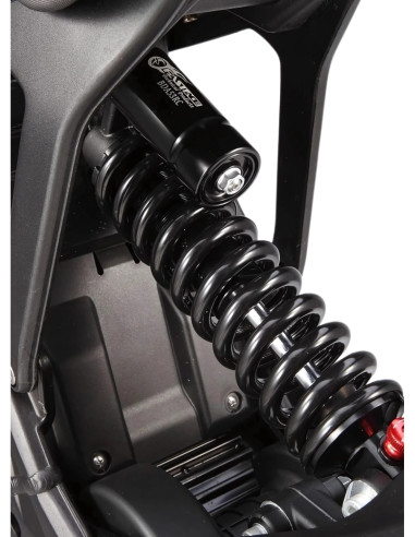 copy of Eride Pro SS 3.0 - L1e o L3e