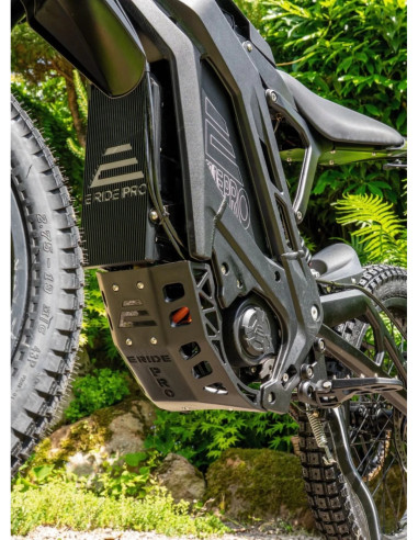 copy of Eride Pro SS 3.0 - L1e o L3e