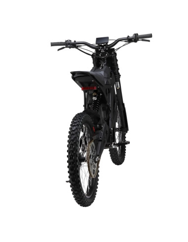 E Ride Pro SS 2.5
