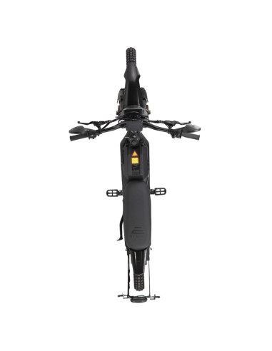 E Ride Pro SS 2.5